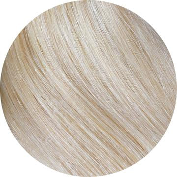Beige Blonde #24