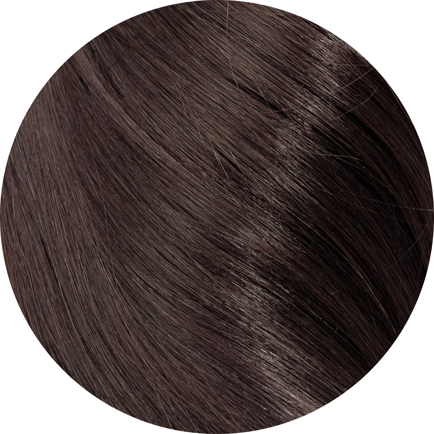 Dark Brown #2