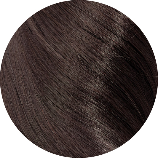 Dark Brown #2